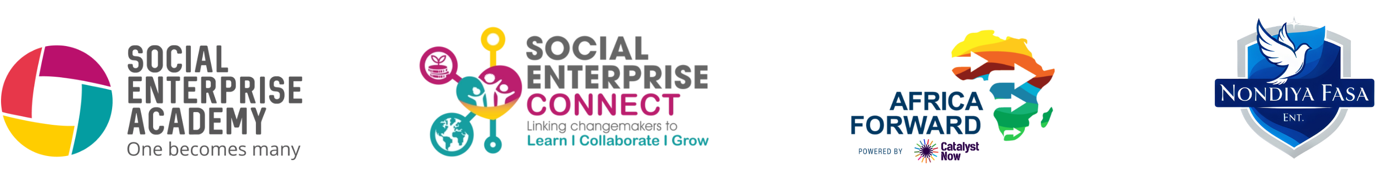 Social Enterprise Academy, Social Enterprise Connect, Africa Forward, and Nondiya FASA